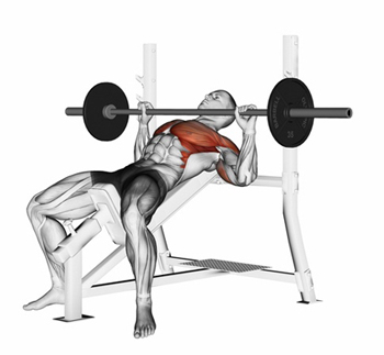 Press of a bar, lying on an incline bench. Exercising for bodybu
